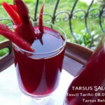 Tarsus Şalgamı